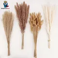 Produktbild: Natürliche Pampasgras Deko | 100 Stück Mix | Boho Tischdekoration
