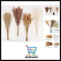 Produktbild: Getrocknete Pampasgrasdekoration, 100 Stück Pampasgras mit Bunny-Tails-getroc...