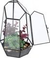 Produktbild: relaxdays Geometrisches Pflanzenterrarium aus Glas