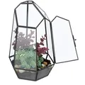 Produktbild: Relaxdays Pflanzenterrarium, Schwarz, Glas, Metall, Abstrakt, Freiform, 18x26x15 cm, Gartenzubehör, Hochbeete
