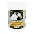Produktbild: Equistro Percutin Paste äusserlich veterinär