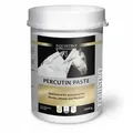 Produktbild: Equistro Percutin Paste äußerlich vet. 2 kg