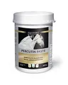 Produktbild: EQUISTRO® Percutin Paste | Pflegeprodukt für Pferde mit Tonerde, Arnika und Menthol | Normalisiert die Flüssigkeitsverteilung im Gewebe | Besonders wohltuend | 2.000g