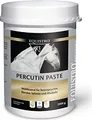 Produktbild: EQUISTRO Percutin Paste äußerlich vet. 2 kg