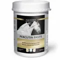 Produktbild: EQUISTRO Percutin Paste äußerlich vet. 2 kg PZN16361912