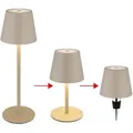 Produktbild: Außenleuchte Tischlampe Akku Tischleuchte Touchdimmer Flaschenaufsatz CCT, sand, USB-C, LED 3W 200Lm warm-kaltweiß, DxH 11,5x36 cm