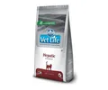 Produktbild: FARMINA Vet Life Natural Diet Cat Hepatic 400g