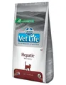 Produktbild: Farmina Vet Life Katze Hepatisch 400 G