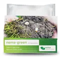 Produktbild: HB-Nematoden gegen Engerlinge | 50 Mio. für 100m² | nema-green Nematoden von e-nema