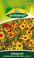 Produktbild: Schöngesicht, Coreopsis tinctoria, ca. 500 Samen
