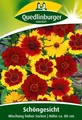 Produktbild: SCHÖNGESICHT 