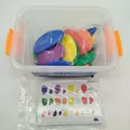 Produktbild: EDUKEE Rainbow Stones Stapelsteine, gebraucht, ab 3 4 5 Jahre | ✅ geprüft