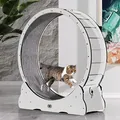Produktbild: CanadianCat Company | Katzenlaufrad aus Holz - CatInMotion - Spiel- & Traininggerät für Katzen | Bausatz Weiß - L Ø100cm | 110 x 36,5 x 115 cm