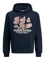 Produktbild: JACK & JONES Jjelogo Sweat Hood 2 Col 25/26 Noos