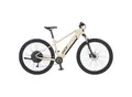 Produktbild: Prophete Dice 2.0 E-MTB E-Bike 29