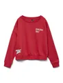 Produktbild: VERO MODA Vmtrina Ls Sweat Box JRS Boo
