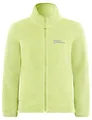 Produktbild: Jack Wolfskin Unisex Kinder Taunus Fleece-Jacke, Cool Matcha, 152 EU