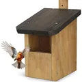 Produktbild: Waldfunk Halbhöhle Nistkasten für Rotkehlchen & Co. | Wetterfest & Massives Holz | Vogelhaus für Nischenbrüter | vollflächig imprägniert
