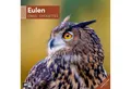 Produktbild: Ackermann Wandkalender Eulen Broschürenkalender 2026 - 30x30 - Art12