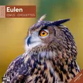 Produktbild: Eulen Broschürenkalender 2026 - 30x30 - Art12 Ackermann Kunstverlag GmbH