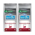 Produktbild: FARMINA Vet Life Gastrointestinal Katze 2x5 kg