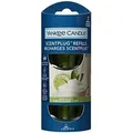 Produktbild: Vanilla Lime ScentPlugTM Nachfüllpack
