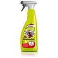 Produktbild: 750ml SONAX INSEKTENSTAR INSEKTENENTFERNER SPEZIALREINIGER INSEKTEN ENTFERNER