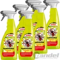 Produktbild: 6x 750ml SONAX INSEKTENSTAR INSEKTENENTFERNER REINIGER AUTO LACK KUNSTSTOFF GLAS