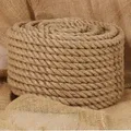 Produktbild: Seil 100% Jute 20 mm 50 m - Vidaxl
