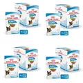 Produktbild: ROYAL CANIN X-Small Puppy | 4er Pack | 4 x 12 x 85 g | Feuchtnahrung für besonders kleine Hundewelpen | Bis zum 10. Lebensmonat | Mit Häppchen in Soße | Im Pouchbeutel