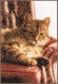 Produktbild: Lanarte Kreativset Lanarte PN-0021762 Entspannte Katze Tabby Kreuzstichpackung, (Set, embroidery Kit), Made in Europe