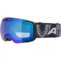 Produktbild: ALPINA Herren Brille FALERA MAG Q