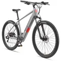 Produktbild: Telefunken E-Bike, Grau, Metall, 114.6 cm, Akkustatusanzeige, Geschwindigkeitsanzeige, Freizeit, E-Mobilität, E-Bikes