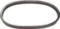 Produktbild: Malossi-Keilriemen, verstärkt, versteift, breiteste 22 x 830 mm