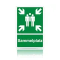 Produktbild: Sammelplatz Schild Ausenbereich Alu,Sammelstelle Sammelpunkt Schild außen Außenbereich Nachleuchtend wasserdicht UV-Schutz mit vorgebohrten Löchern 20x30cm