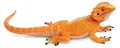 Produktbild: Safari Ltd Bartagamenfigur Orange From 3 Years Kinder Orange From 3 Years