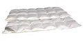 Produktbild: Betten Hofmann 4-Jahreszeitenbett Betten Hofmann leichte Premium Ganzjahres-Daunendecke 6x8 155x220 cm, Füllung: 100% Gänsedaunen, Bezug: 100% Baumwolle, leichte Ganzjahresdecke, wasserbettengeeignet