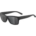 Produktbild: ALPINA Sportbrille 
