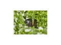 Produktbild: Gardena Tropfbewässerung-Set Hochbeet/Beet 35 Pflanzen (13455-20)