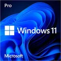 Produktbild: Microsoft Betriebssystem Windows 11 Pro HAV-00180, 64 Bit, USB-Stick / Flash, SB/OEM