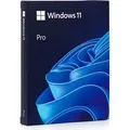 Produktbild: Microsoft Windows 11 Pro 64 Bit