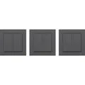 Produktbild: Friends of Hue Smart Switch, Taster anthrazit, Dreierpack
