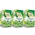 Produktbild: Herbapol Brennesseltee 3x 20 Teebeutel - Brennnessel Kräutertee Tee im Beutel