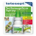 Produktbild: TETESEPT Schnupfen Spray 20 ml