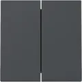 Produktbild: Gira Wippe 2f System 55 Anthrazit 329528 (329528)