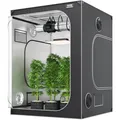 Produktbild: Growbox Pflanzenzelt Zuchtzelt Growzelt Gewächshaus Indoor 150x150x200cm