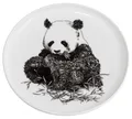 Produktbild: Maxwell & Williams DX0528 Teller 20 cm MARINI FERLAZZO Giant Panda, Porzellan...