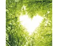 Produktbild: HOME FASHION Papierserviette 20 Servietten Nature Love 33x33cm, (20 St)