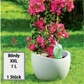 Produktbild: Scheurich Wasserspender Bördy XXL | 1x Grün | 1000 ml Füllmenge | Bewässerungskugel klein mit Ton Fuß | Wasserspender Pflanzen und Blumen Terrakotta Stiel