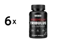 Produktbild: 6 x Weider Premium Tribulus (90 Caps) (143,86 EUR/kg)